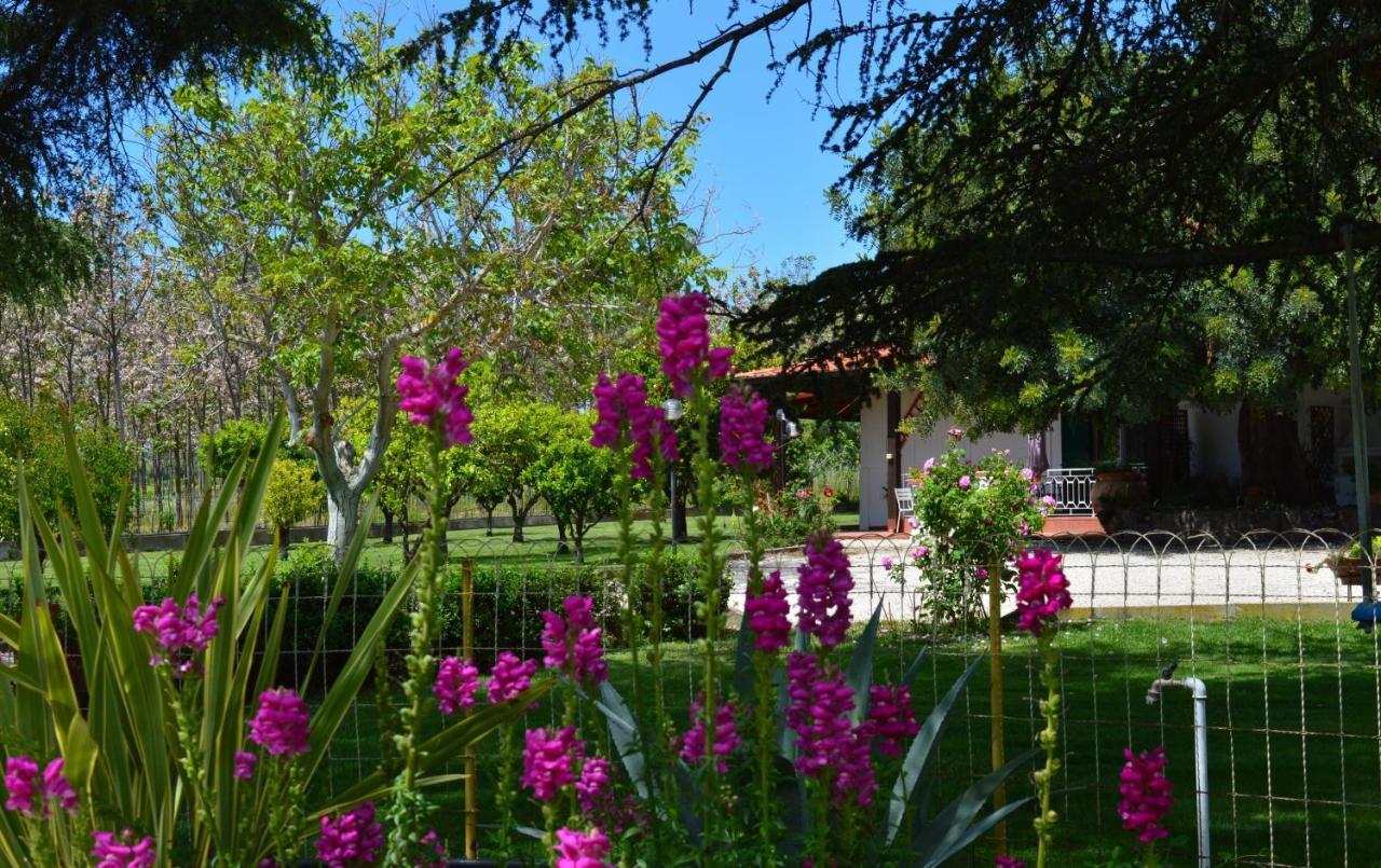 Irene Holiday home *