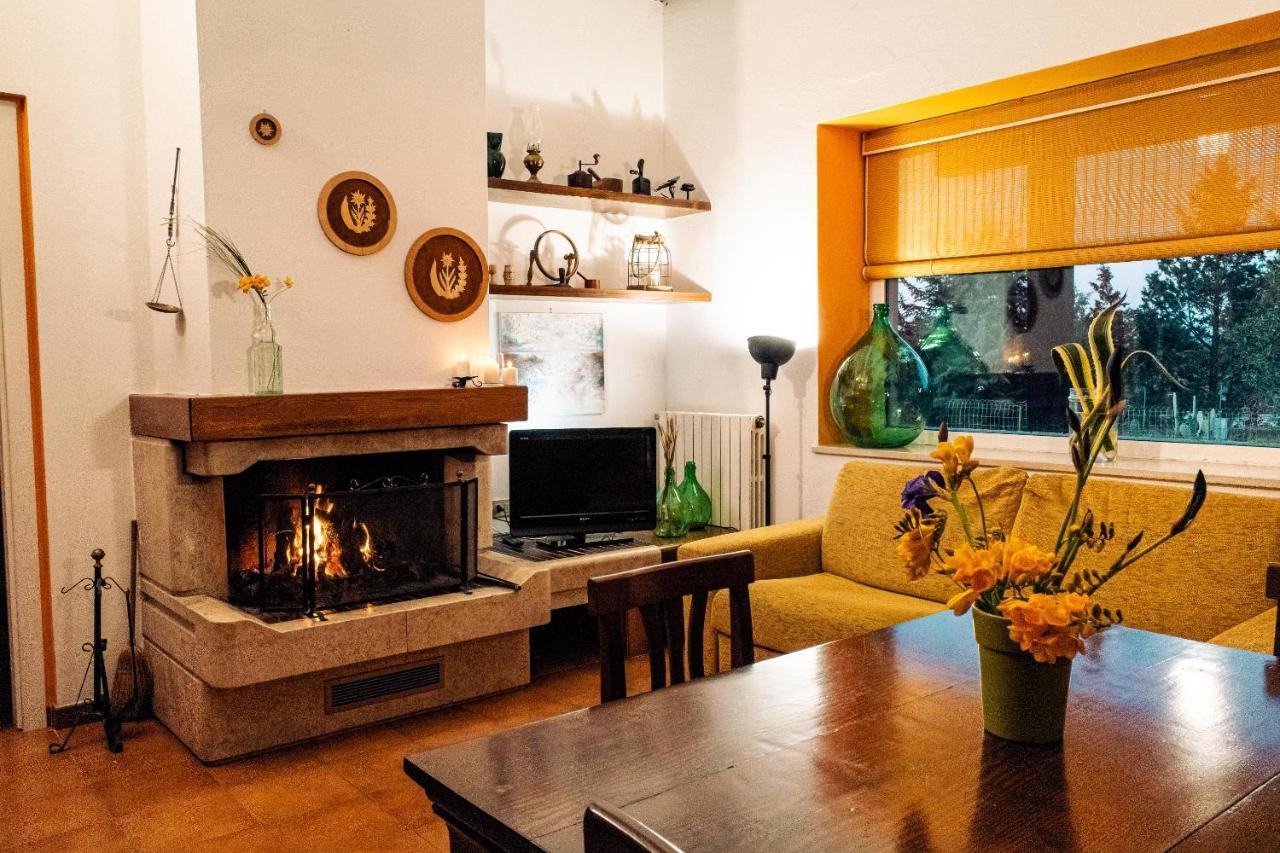Irene Holiday home