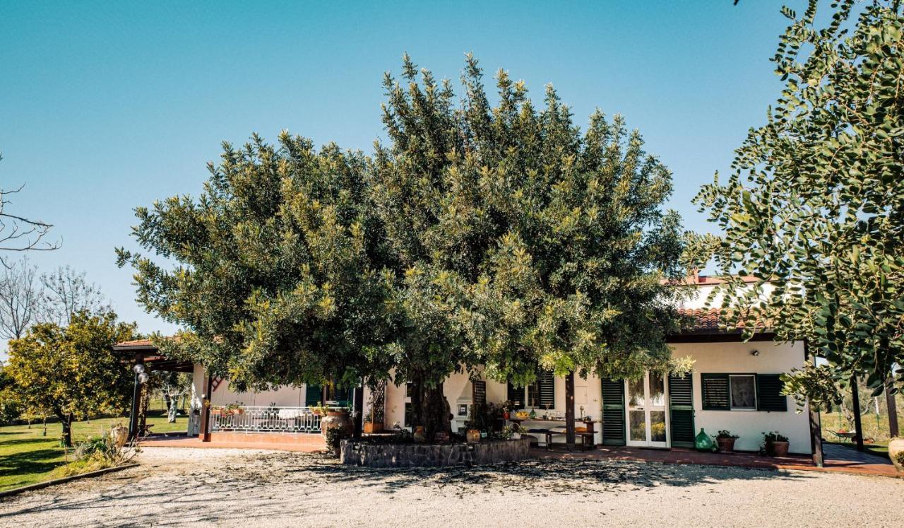 Irene Holiday home