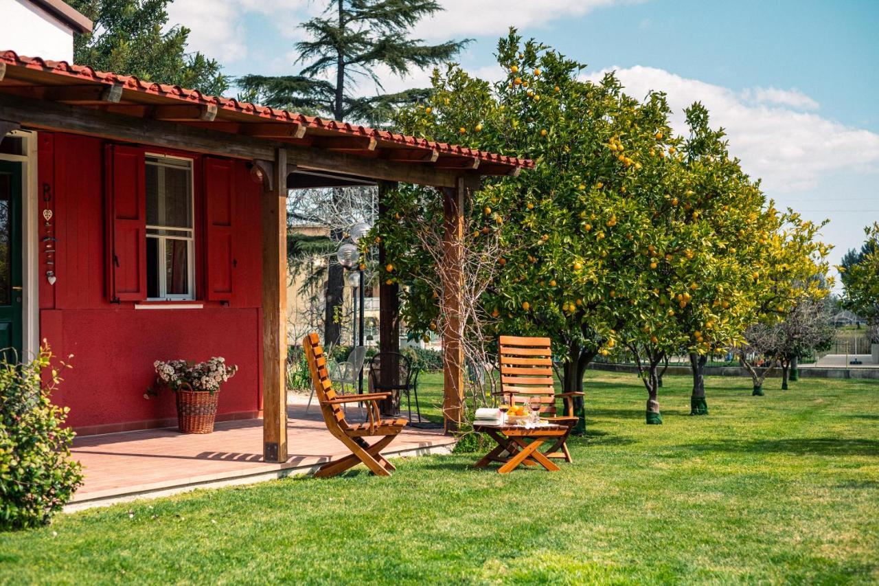 Irene Holiday home